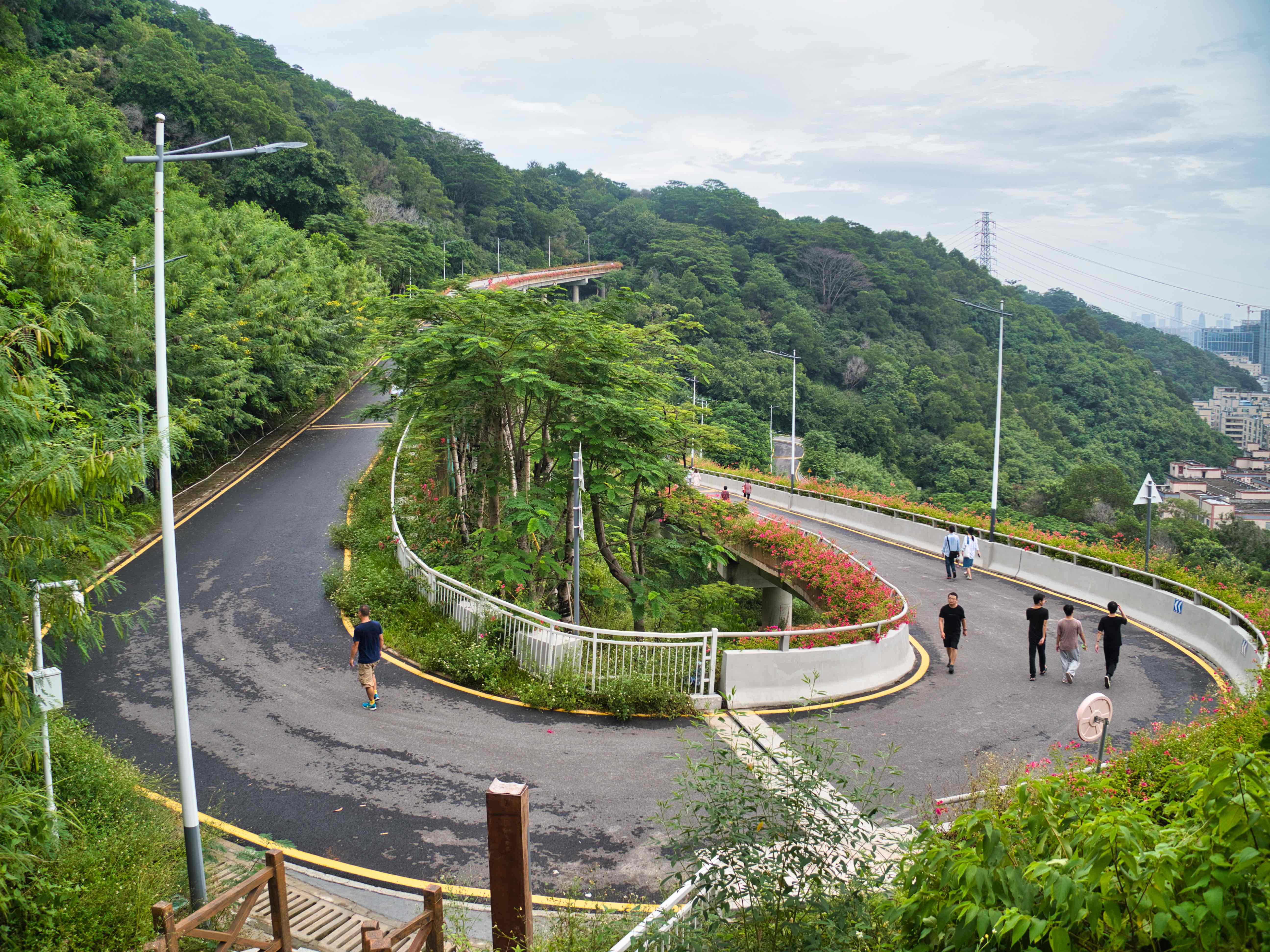 盘山而上的道路